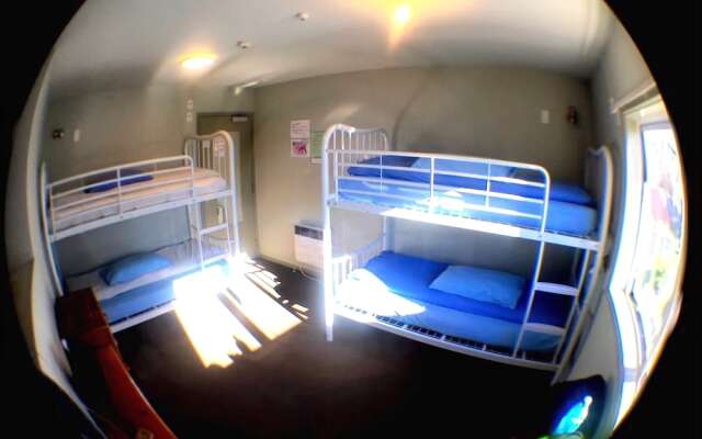 Kiwi House - Hostel
