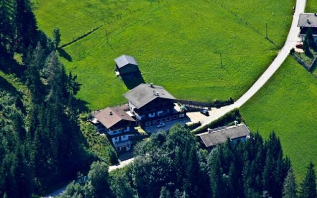 Alpbach Bergwald