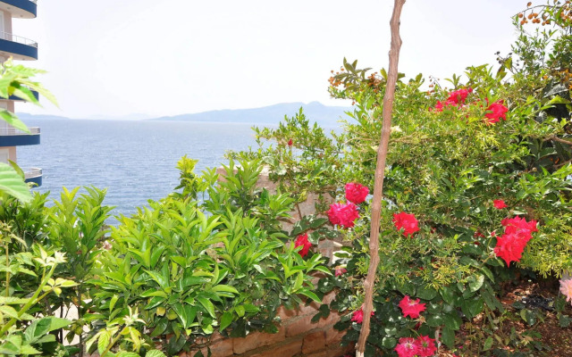 Hotel Vila Alvin & Apartments