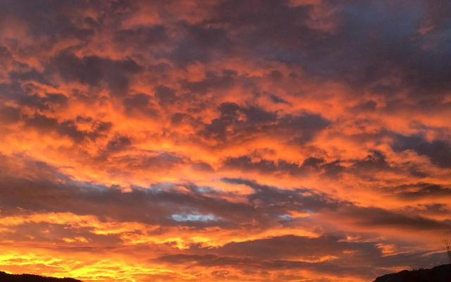 Gästehaus Schröder