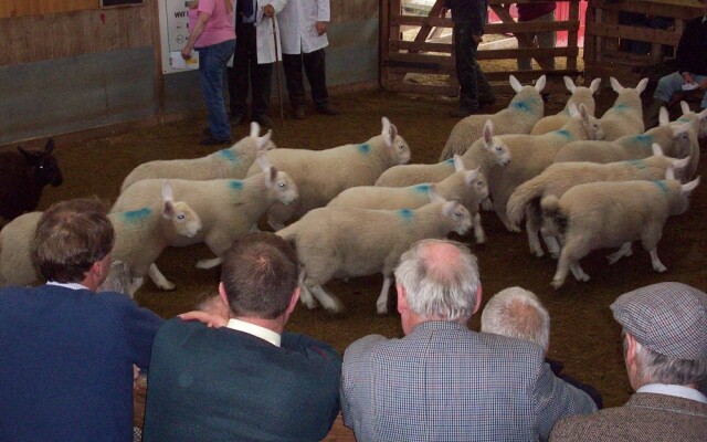 Lairg Highland Hotel