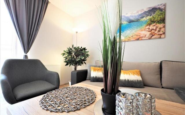 VIP Apartamenty Centrum