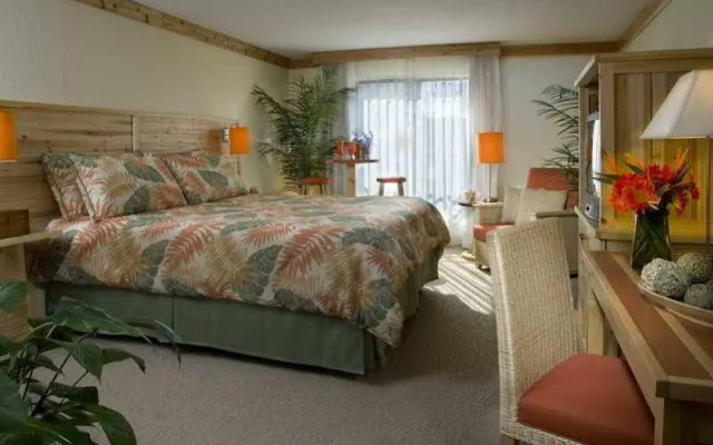 Hilton Gran Vacation Hilton