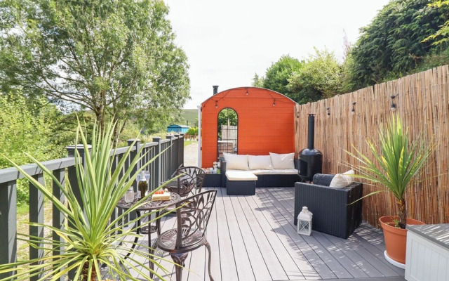 Red Kite at Wild Valley Huts