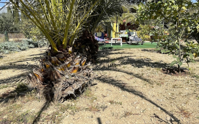 Oasis in Split Near the Center
