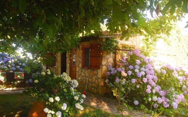 Alekas Studios