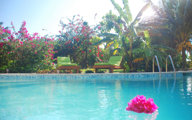 Margarita del Sol Costa Maya