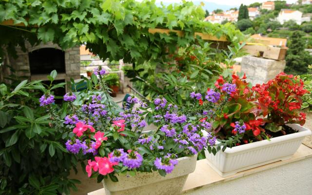 Apartments Boro in Splitska - island Brac