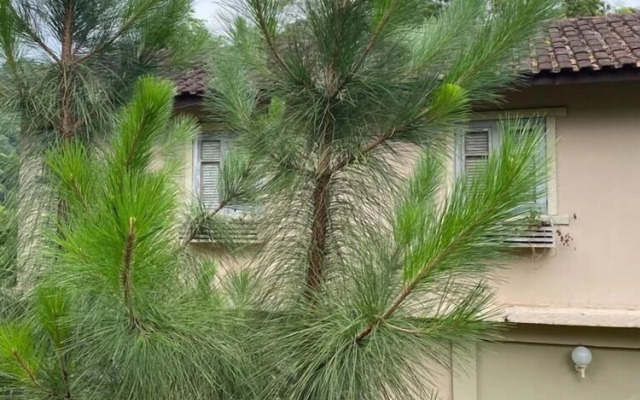 Sítio & Hospedagem Vistas de São Pedro