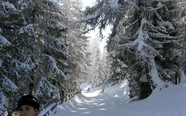 Ferienwohnung Dolomitenpanorama