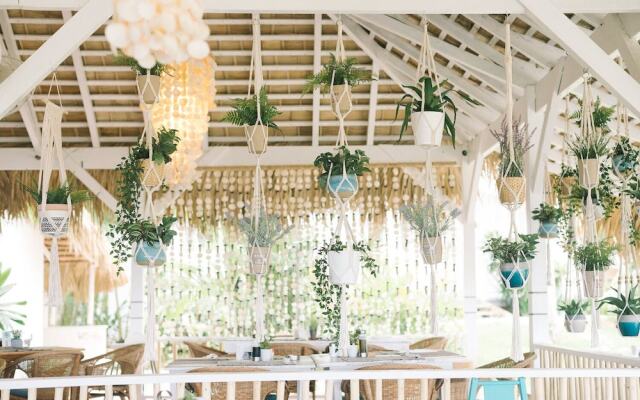 Mosquito Boutique Hotel