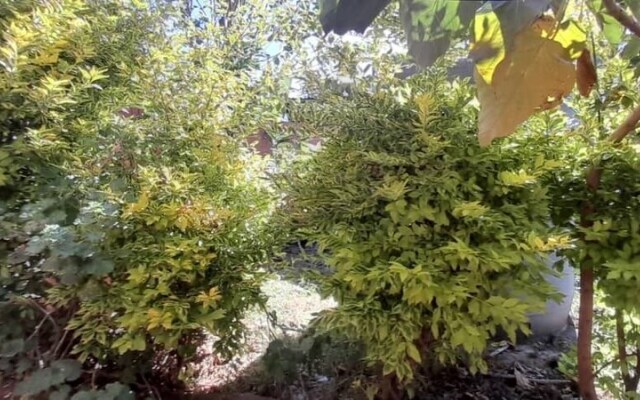 Rock Land Guest House