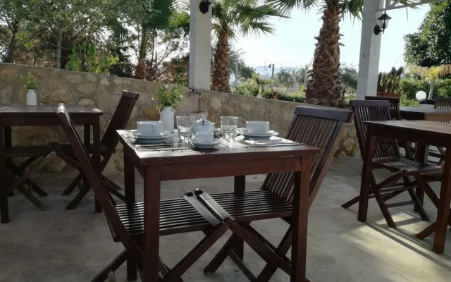 Villa Delle Palme Delfina