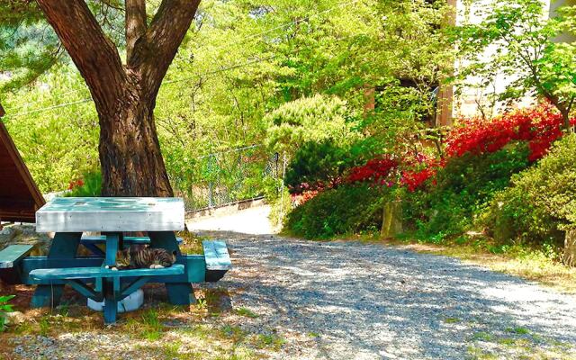 Yangsan Cozy Pension