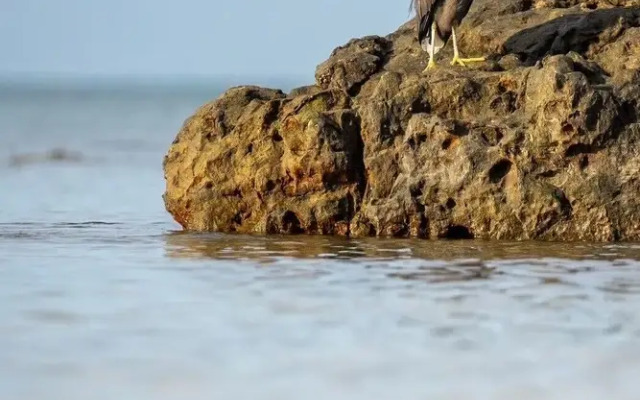 Koh Pu Sea View Beach Resort