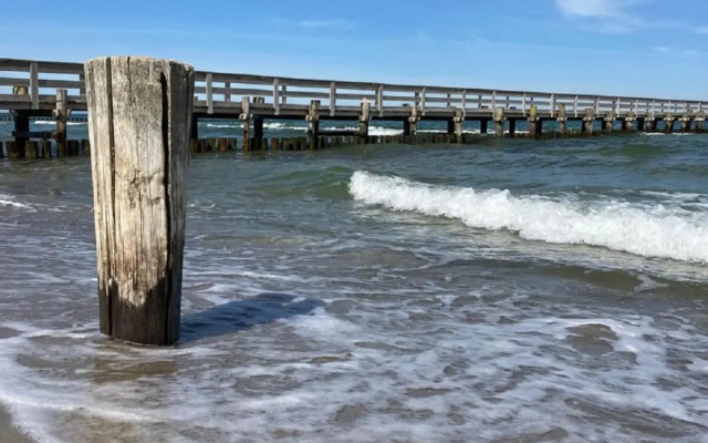 Friedensstraße 41 Wohng 12