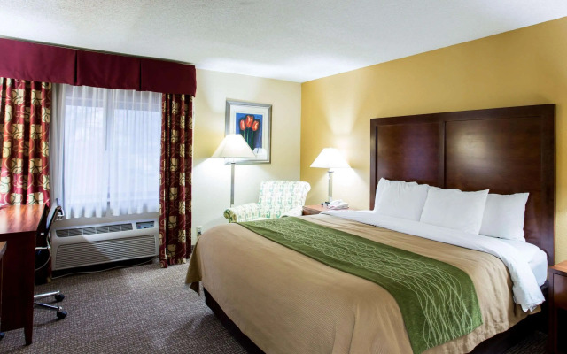 Comfort Inn Columbia West