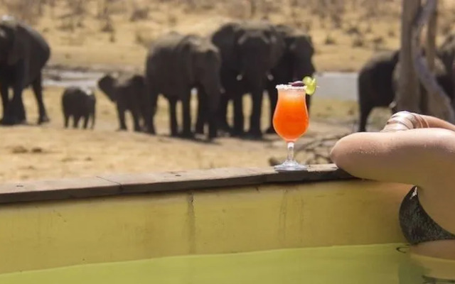 Ivory Lodge