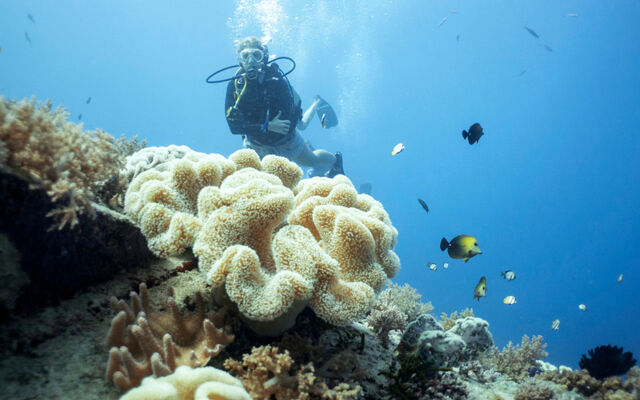 Manta Dive Resort Gili Air