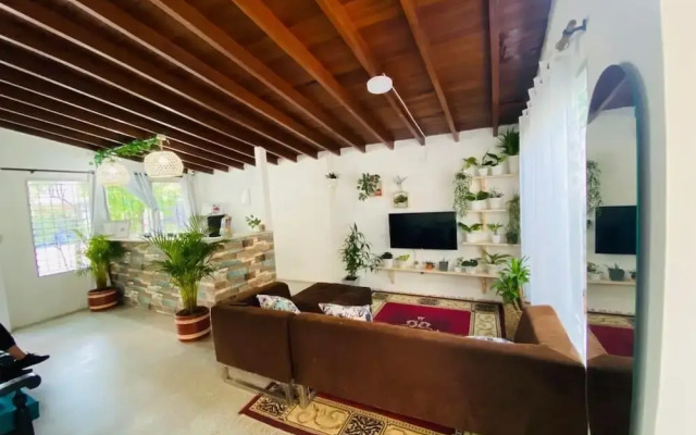 Spring Hostel