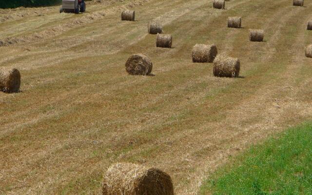 The Vinci Dream Holiday Home