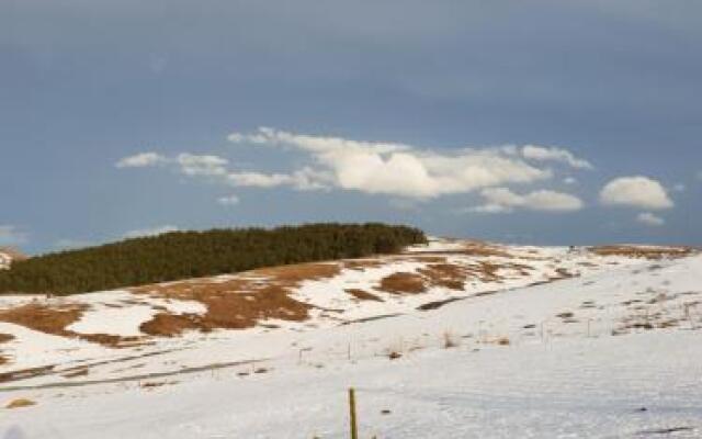 Zlatibor Hills