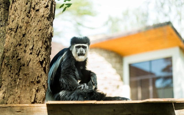 Osotua Luxury Resort