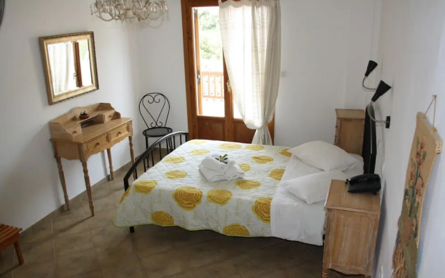 Amorani Studios