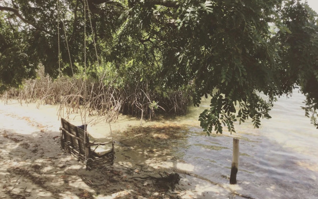 Bonobo Lodge