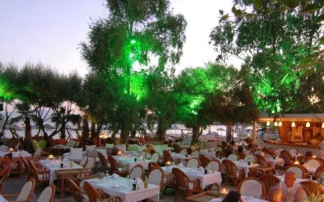 Okaliptus Hotel