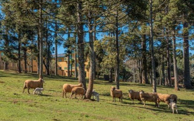 Lagoa Parque Hotel