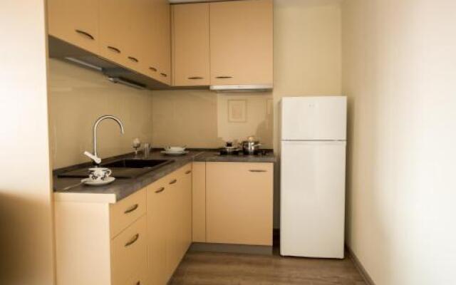 Vila Nicopole - art & wine