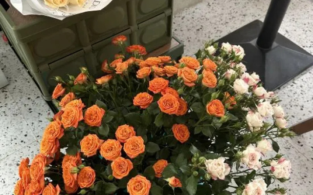 Summer Tree Travel Photography Seaview Homestay (Beihai Qiaogang Branch)