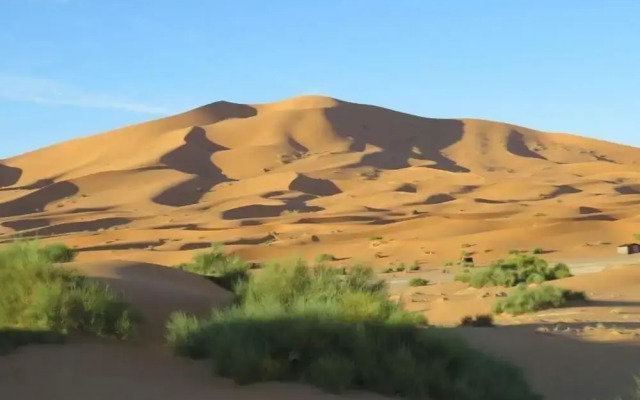 Desert Queen Camp