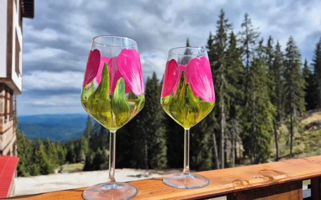 Tulip Apartment Pamporovo