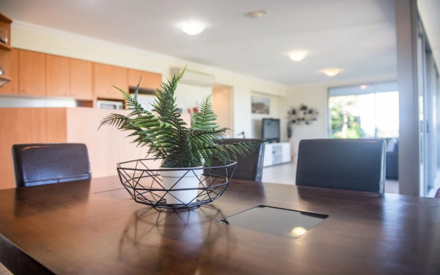 Oasis 26