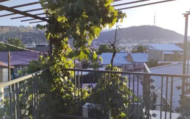 New Tbilisi Hostel