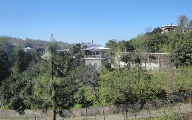 Country House Mamuka