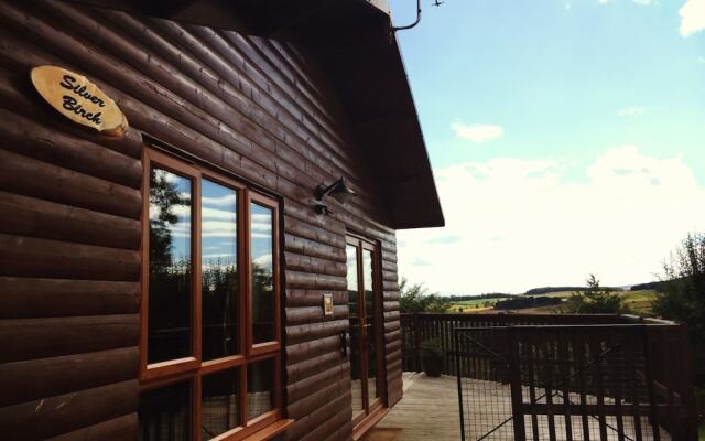 Silver Birch Lodge With Hot Tub Near Cupar, Fife