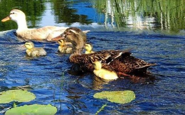 Teepee Meadows Guest Cottages