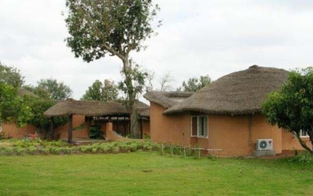 Kings Sanctuary