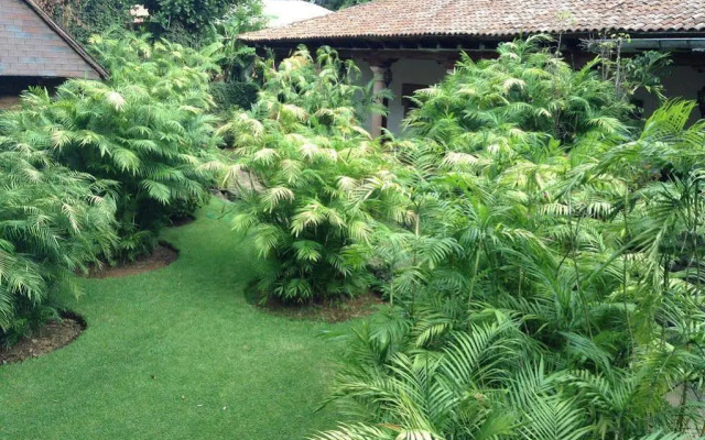 Hacienda San Pedro