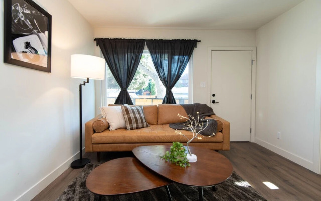 Stylish Apartment near Dodger St