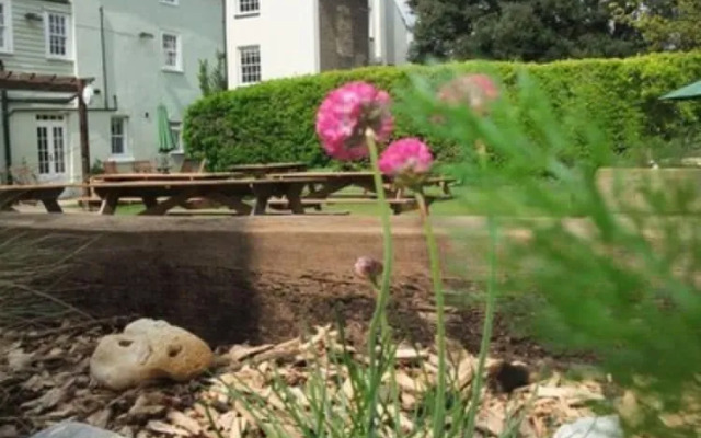 The White Cliffs Hotel