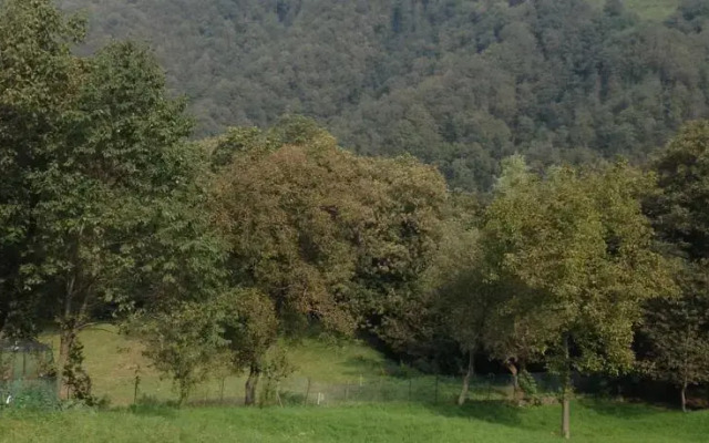 CA De Gos