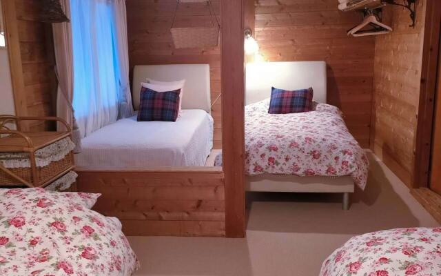 Pension Snowfall Meteor