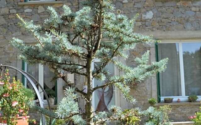 Chambre Bounty cuisine privée, salle d'eau, terrasse, garage