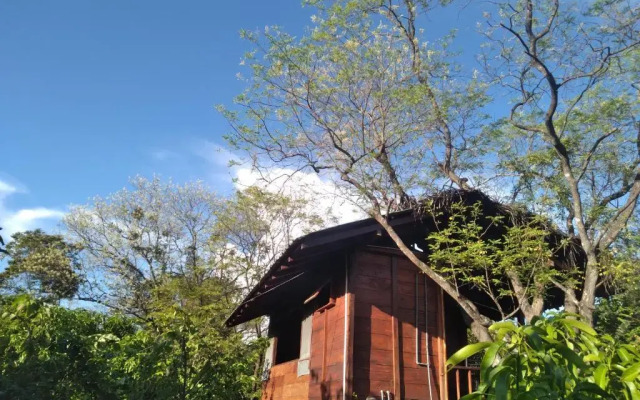 Dambulla Tree House