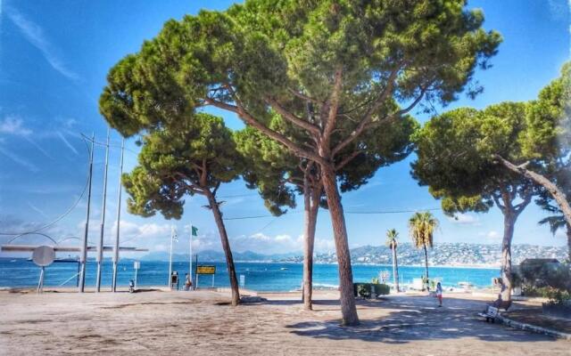 Splendide 3 Pieces Vue Mer