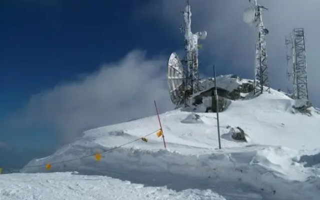 Albergo Ristorante Capriolo